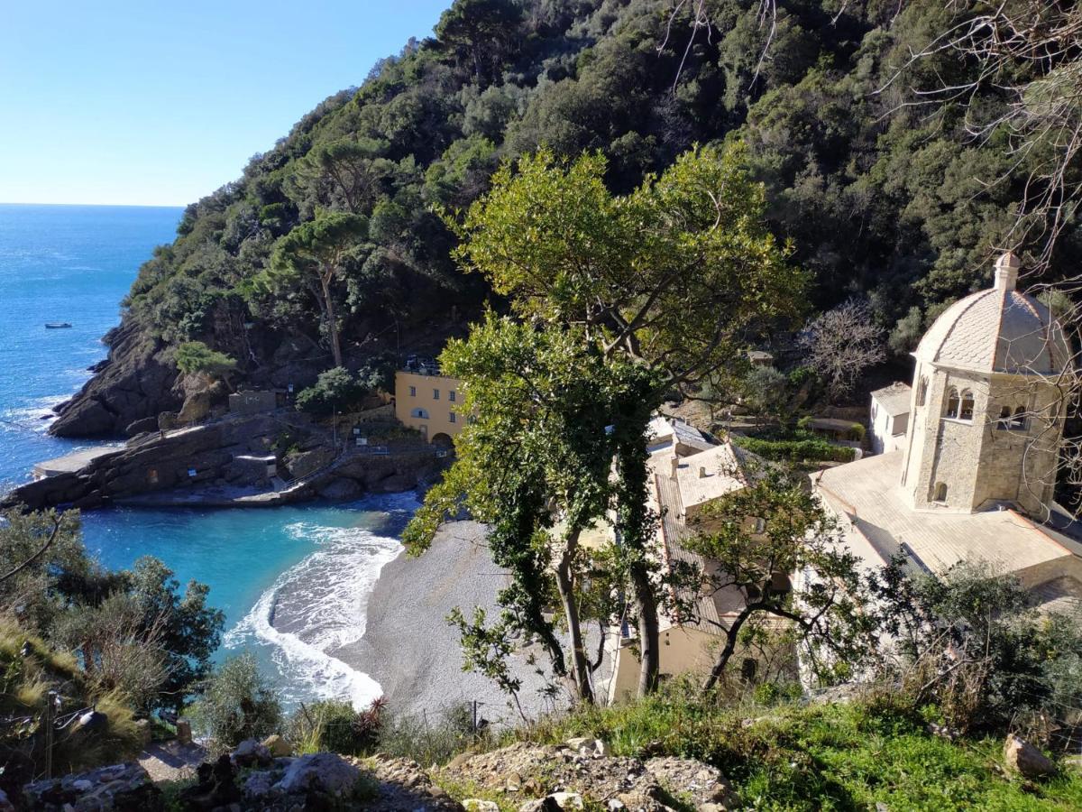 Casaviva - Magical Bilo In Camogli Apartment Exterior photo